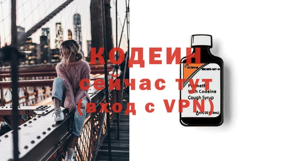 прущая мука Ельня