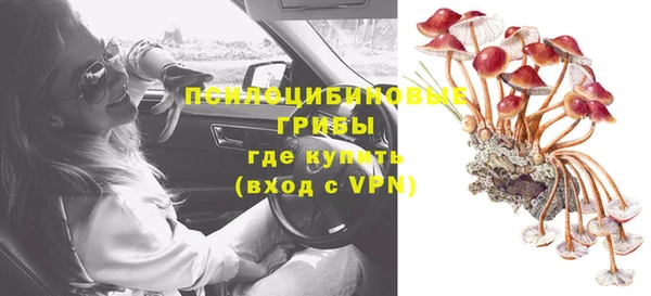 дмт Заволжск
