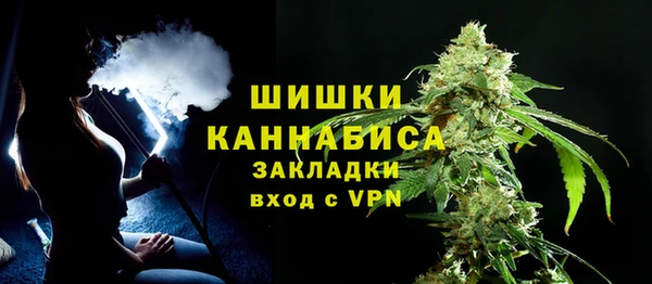 прущие грибы Елизово