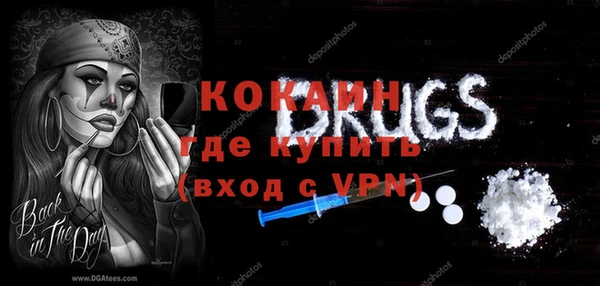 ГАЛЛЮЦИНОГЕННЫЕ ГРИБЫ Дмитриев