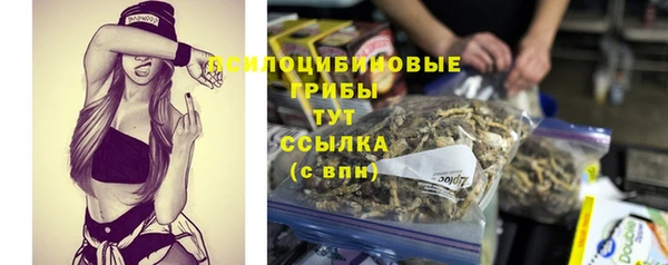 прущая мука Ельня