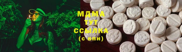 мдпв Елабуга