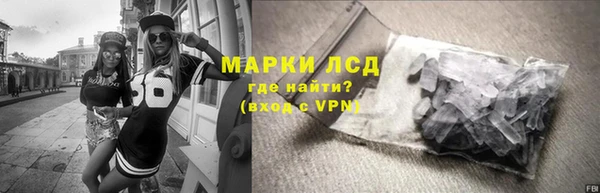 мдпв Елабуга