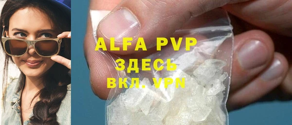 прущие грибы Елизово