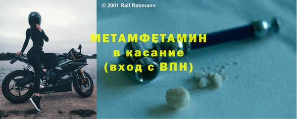 ГАЛЛЮЦИНОГЕННЫЕ ГРИБЫ Дмитриев