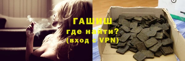 мдпв Елабуга