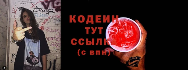 мдпв Елабуга