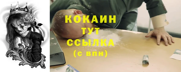 apvp Дмитровск