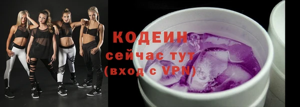 прущие грибы Елизово