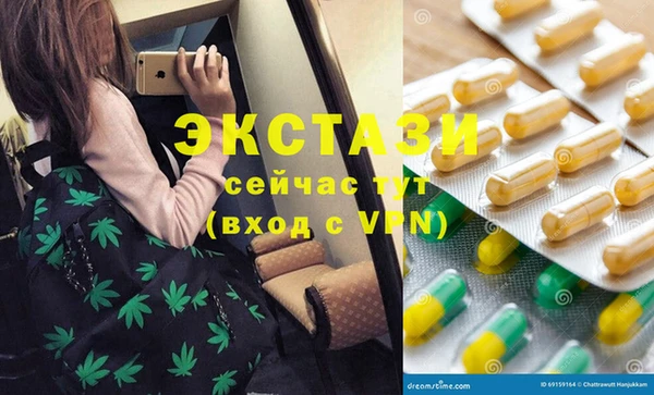 мдпв Елабуга