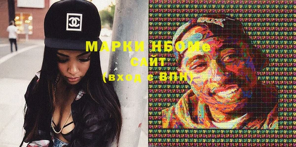 ГАЛЛЮЦИНОГЕННЫЕ ГРИБЫ Дмитриев
