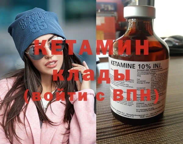 прущие грибы Елизово