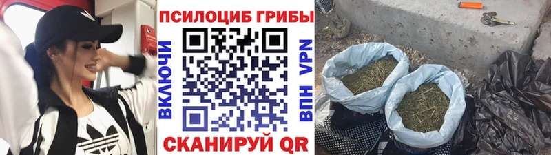 Псилоцибиновые грибы GOLDEN TEACHER  Гремячинск 